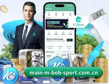BOB体育官网 APP
