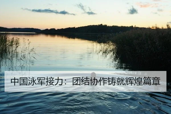 中国泳军接力：团结协作铸就辉煌篇章